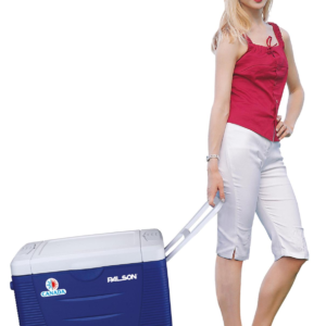 Palson Ice Maker